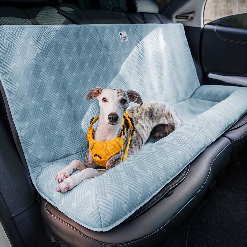 Seasonal Pet Bed Guide: When and How to Switch Between Winter and Summer Bedding