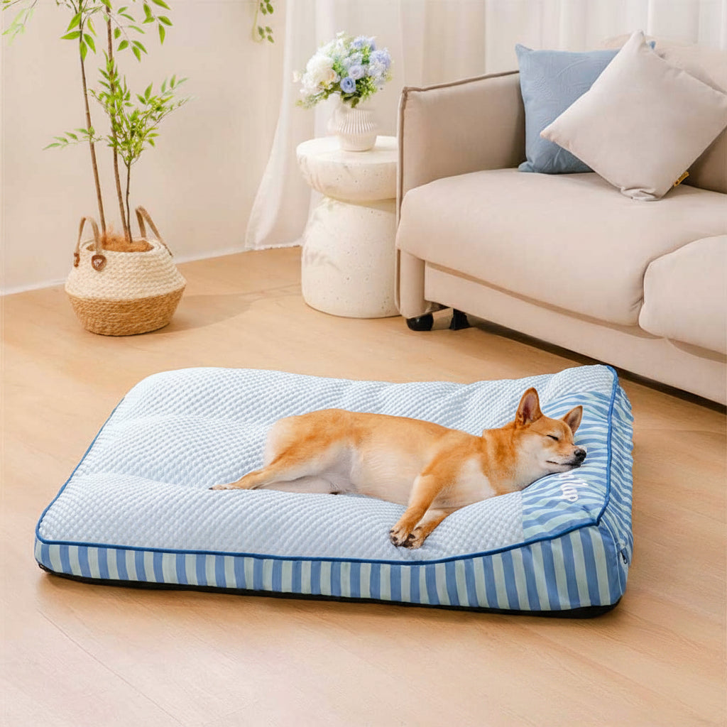 Why Hypoallergenic Materials Matter for Your Pet's Bed