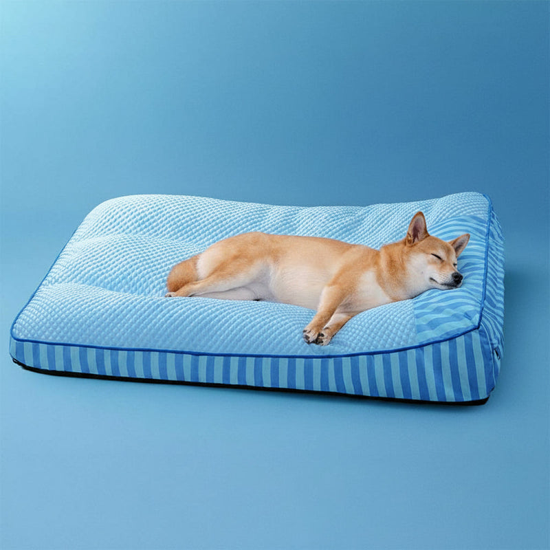 Dog Beds & Sofas