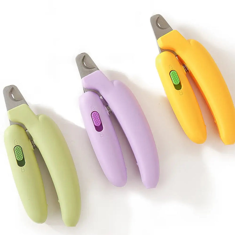 Pet Accessories