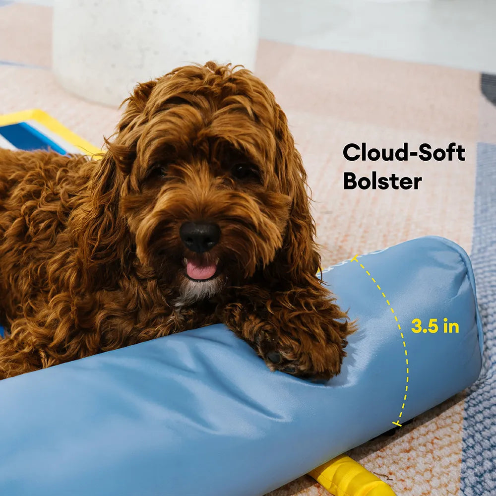 Tragbare Kühldecke für Hunde - Chill Nest