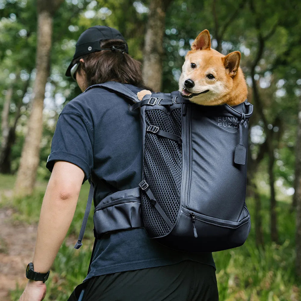 Hundetragetaschen Hunderucksäcke Hundefahrradtaschen - Urban Roaming