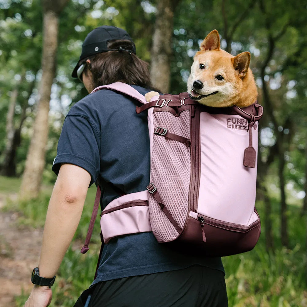 Hundetragetaschen Hunderucksäcke Hundefahrradtaschen - Urban Roaming