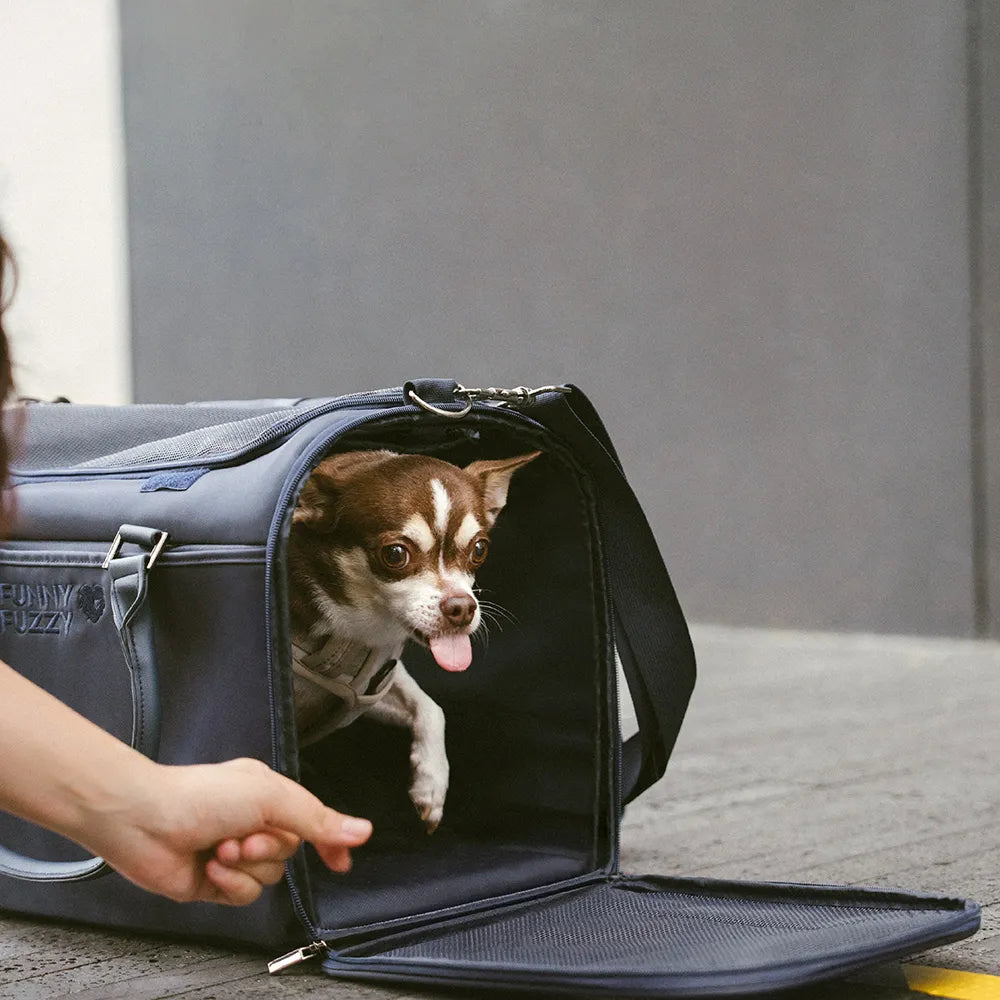 Dog Carrier Airline Approved Soft-Sided Pet Carrier for Cats - Urban Roaming