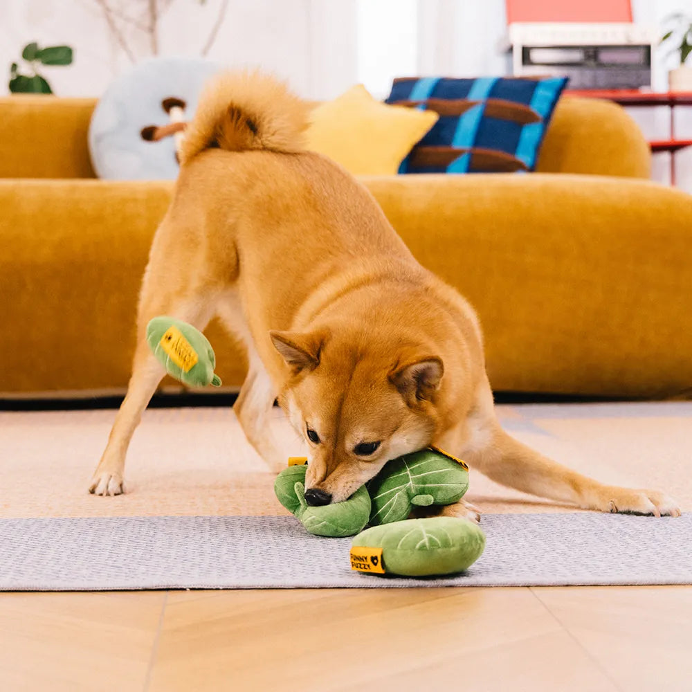 SnugNest Strukturiertes, blattförmiges Quietsch-Hundespielzeug
