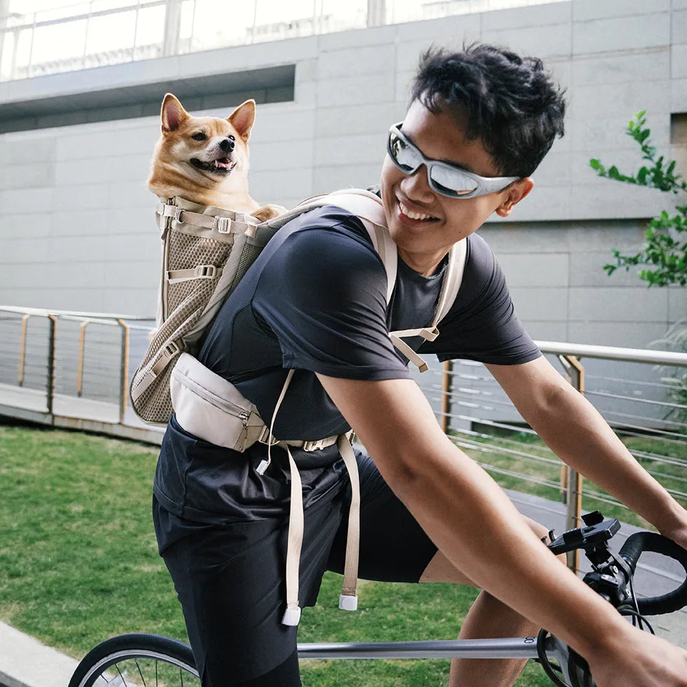 Hundetragetaschen Hunderucksäcke Hundefahrradtaschen - Urban Roaming