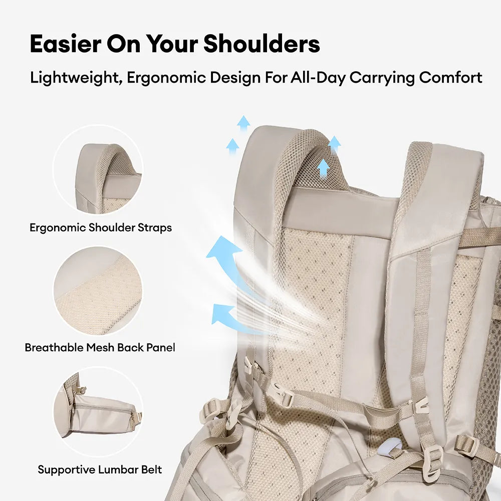 Dog Carrier Backpacks Dog Rucksack Dog Bike Carrier - Urban Roaming