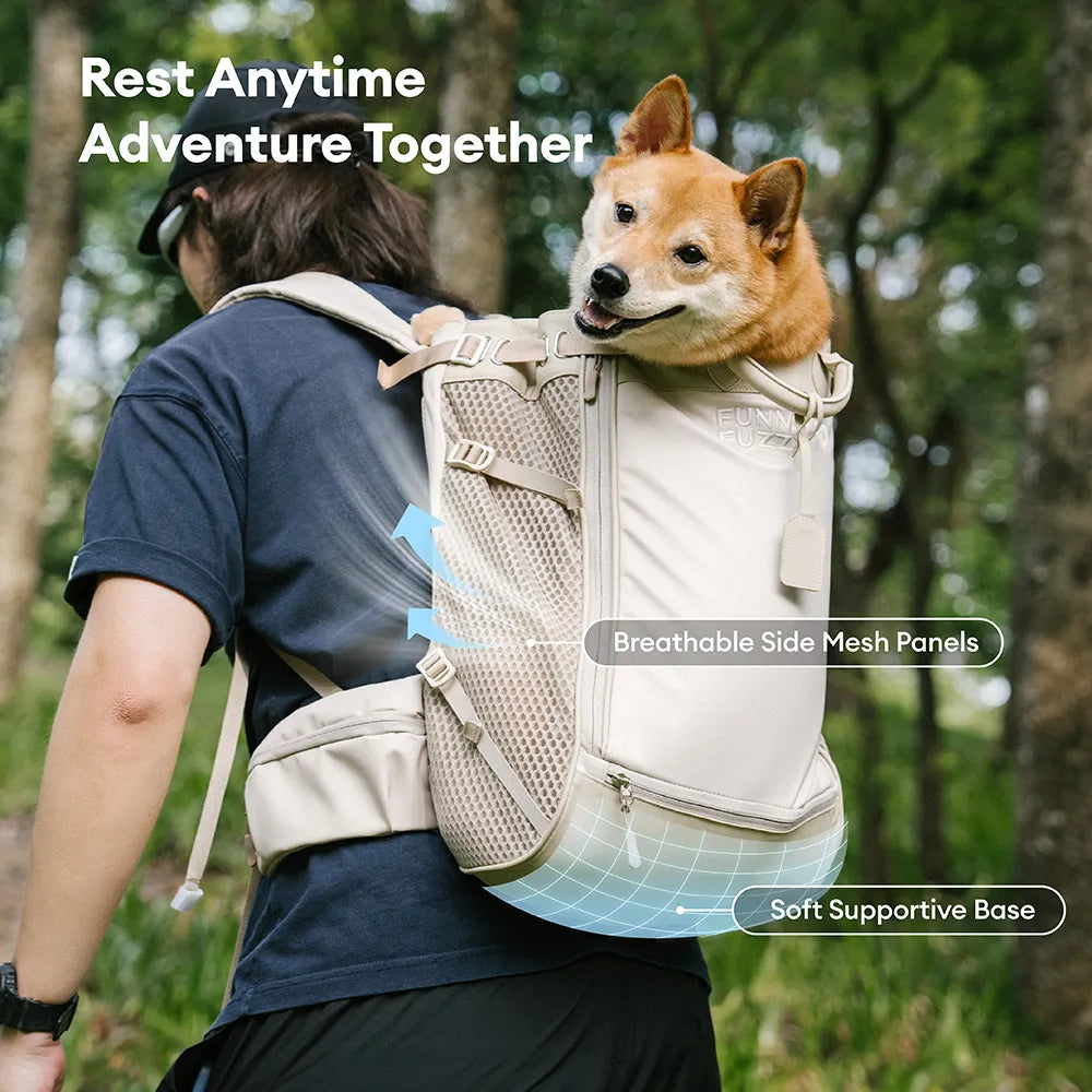 Dog Carrier Backpacks Dog Rucksack Dog Bike Carrier - Urban Roaming