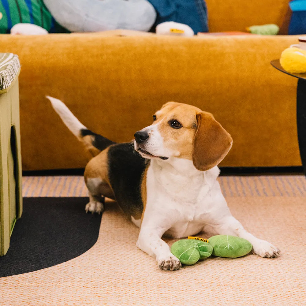 SnugNest Strukturiertes, blattförmiges Quietsch-Hundespielzeug