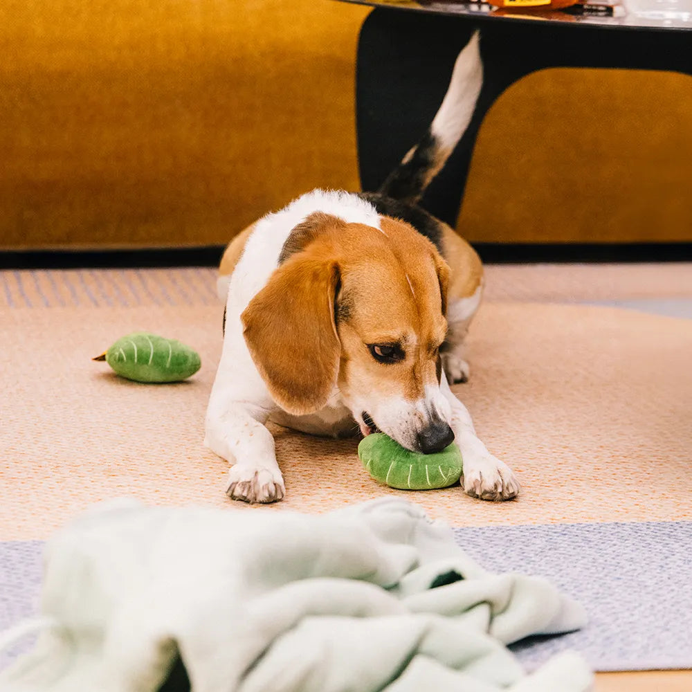 SnugNest Strukturiertes, blattförmiges Quietsch-Hundespielzeug