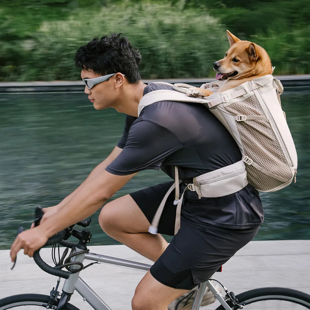 Hundetragetaschen Hunderucksäcke Hundefahrradtaschen - Urban Roaming