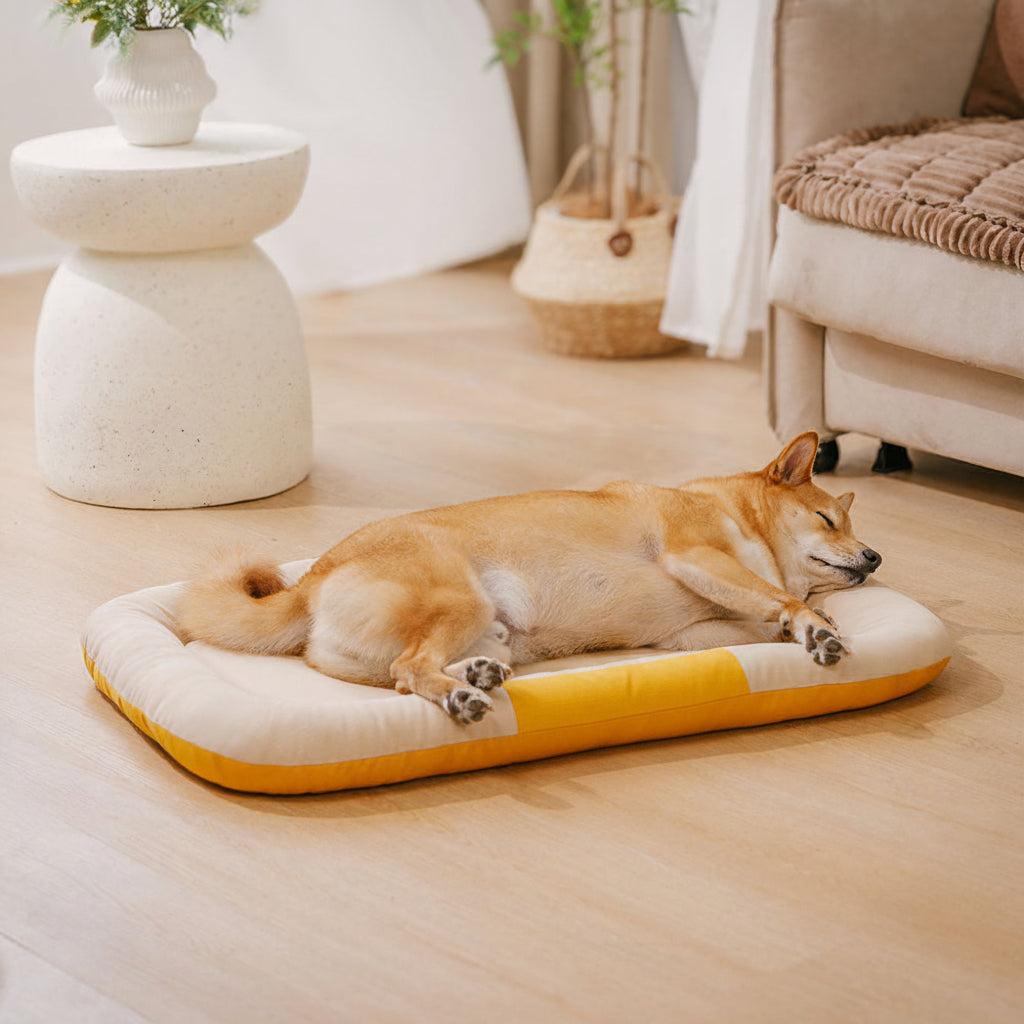 Outdoor Waterproof ＆ Chew-proof Memory Foam Orthopedic Dog Mat - Trek Lounge