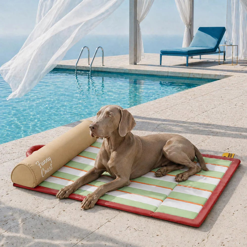 Tragbare Kühldecke für Hunde - Chill Nest