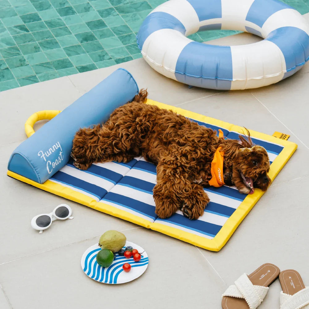 Tragbare Kühldecke für Hunde - Chill Nest