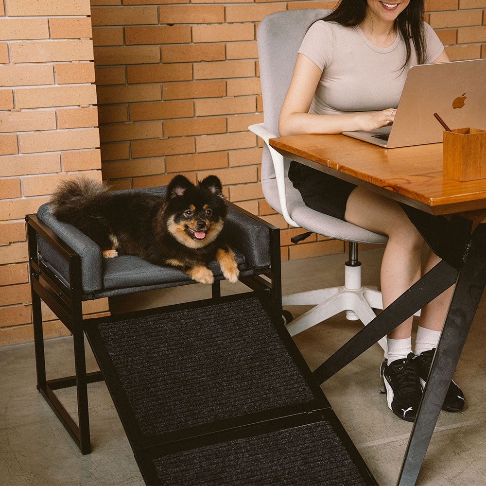 Elevated Pet Sofa Bed with Stairs Ramp for Bedside Lounge or Dog Window Perch