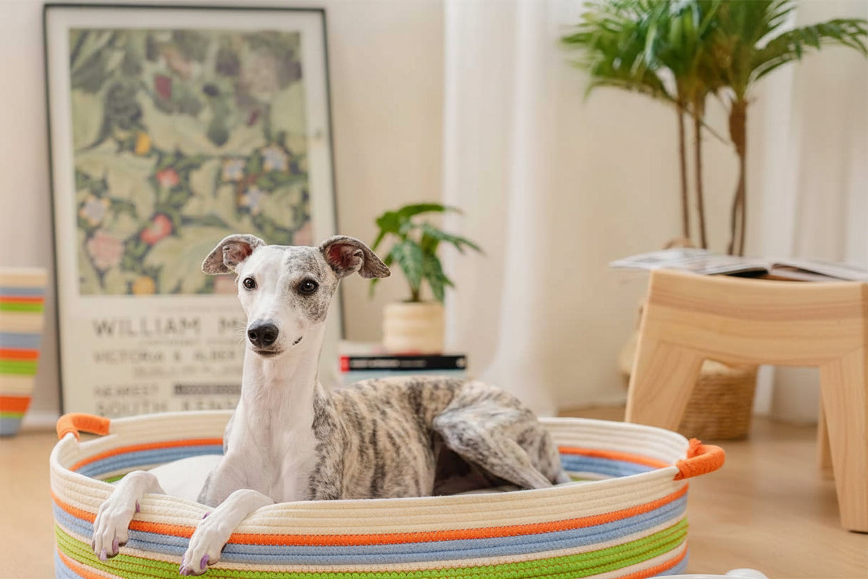Handcrafted Stripe Calming Pet Bed - Timeless Nest