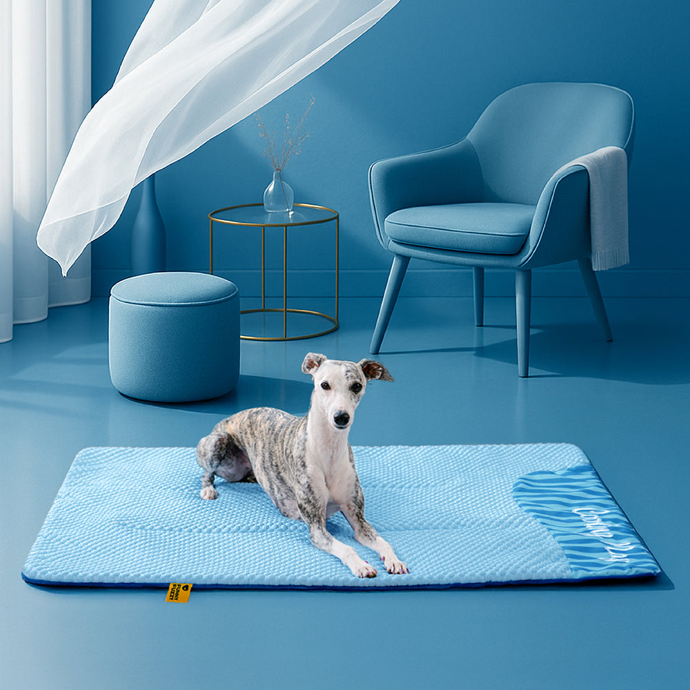 Große, waschbare, kühlende, rutschfeste Outdoor-Hundematte – Kühler Liegeplatz
