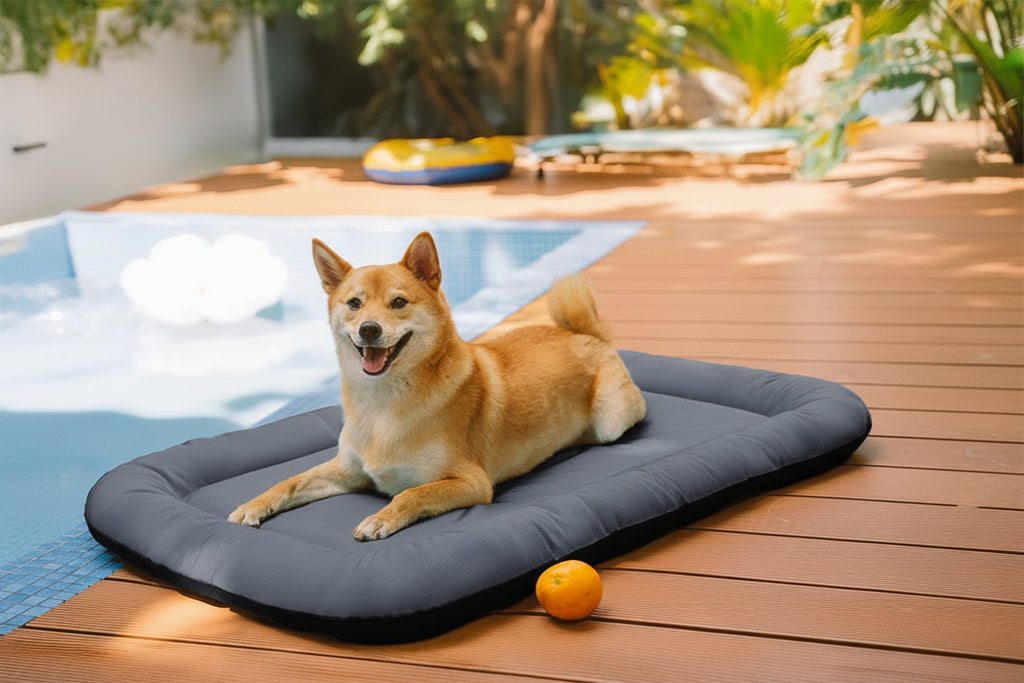 Outdoor Waterproof ＆ Chew-proof Memory Foam Orthopedic Dog Mat - Trek Lounge