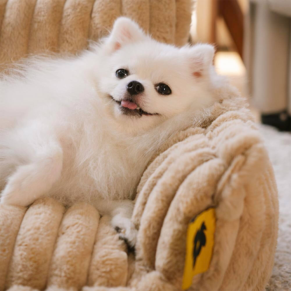 Großes waschbares flauschiges orthopädisches weiches Hundekissen Outdoor Hundesofa-Bett-Snoozy Dream