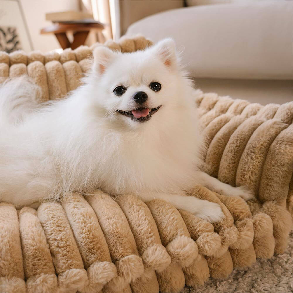 Großes waschbares flauschiges orthopädisches weiches Hundekissen Outdoor Hundesofa-Bett-Snoozy Dream
