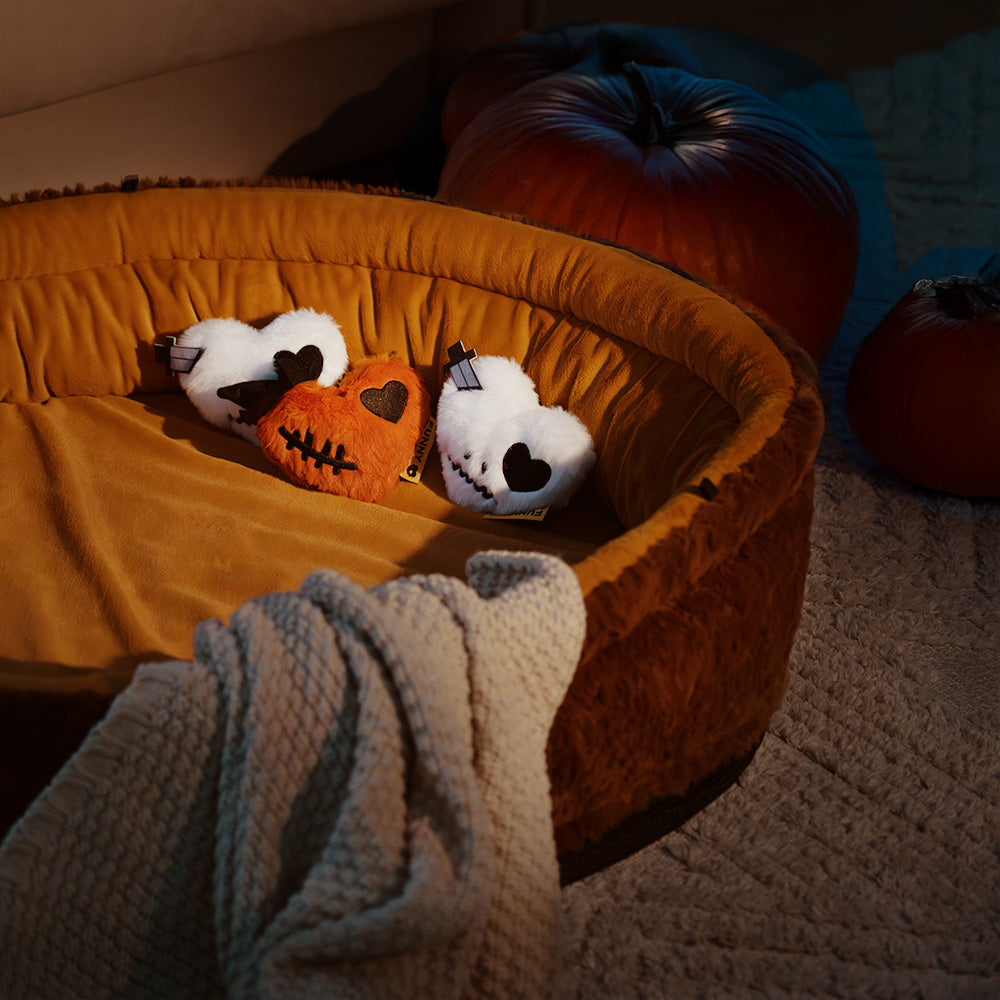 Plush Squeaky Dog Toy