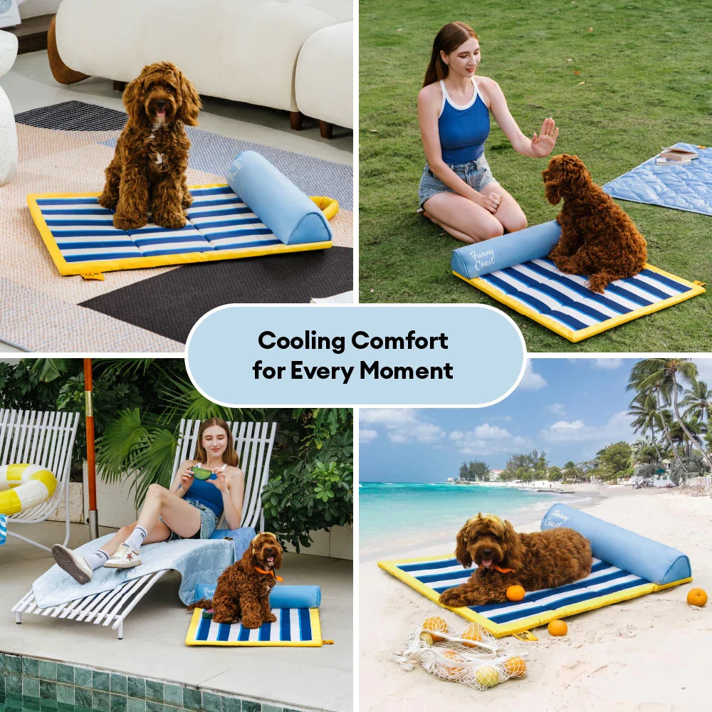 Tragbare Kühldecke für Hunde - Chill Nest