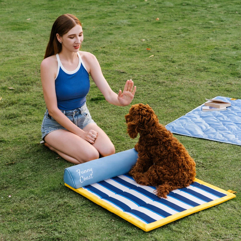 Tragbare Kühldecke für Hunde - Chill Nest