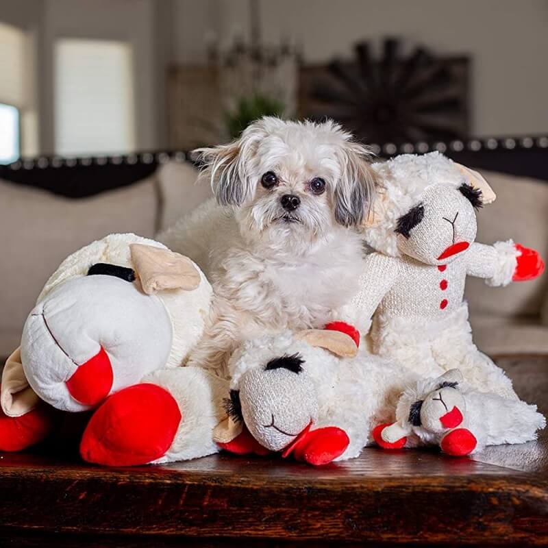 Plush Lamb Squeaker Toy Dog Interactive Toys