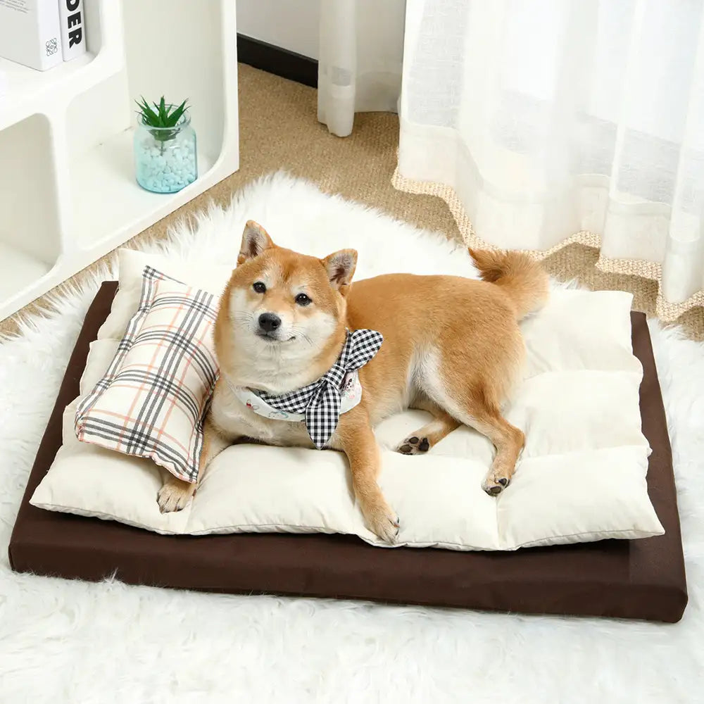 Alles-in-einem multifunktionales wasserabweisendes Komfort-Hundebett mit Kissen