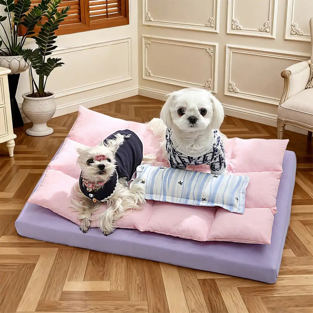Alles-in-einem multifunktionales wasserabweisendes Komfort-Hundebett mit Kissen