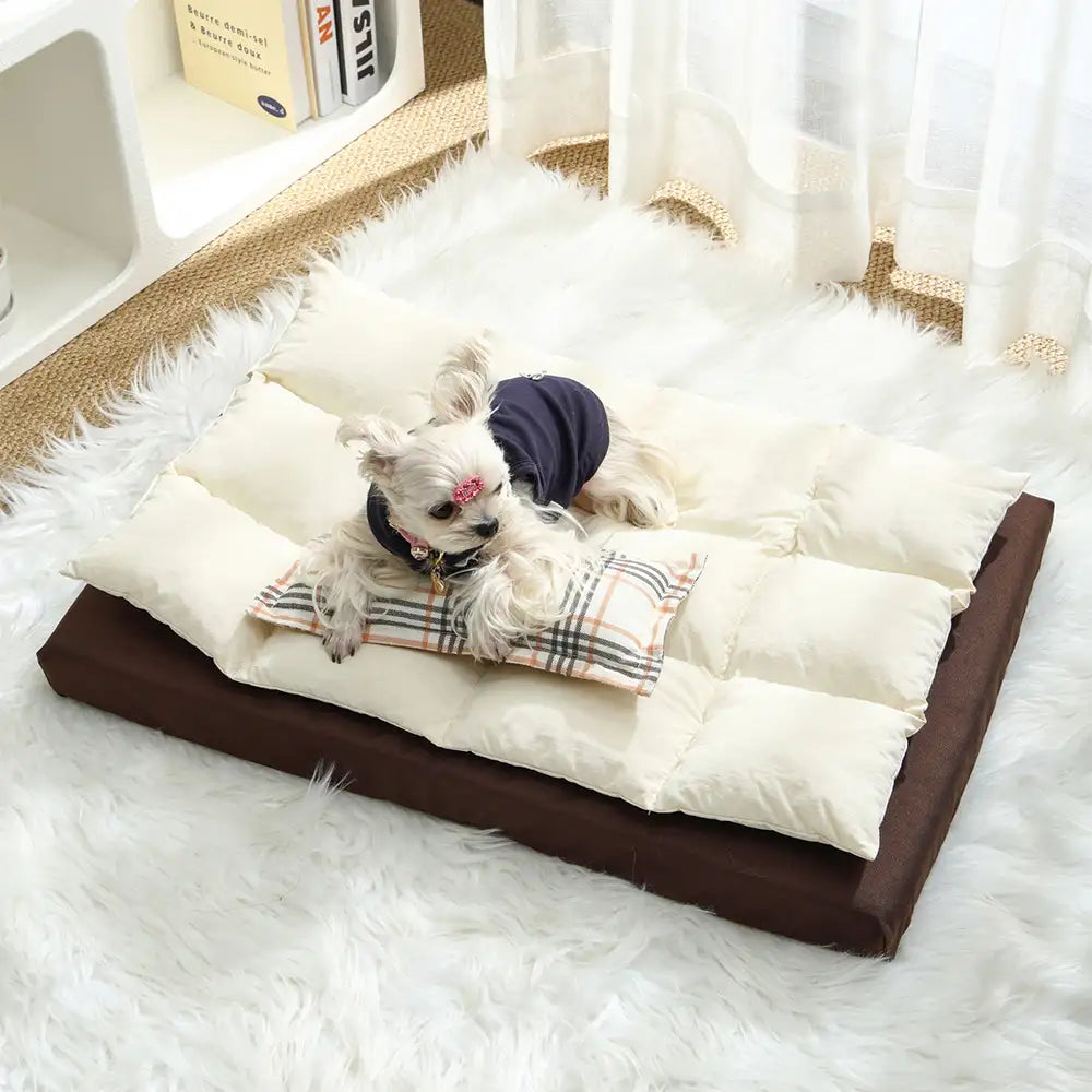 Alles-in-einem multifunktionales wasserabweisendes Komfort-Hundebett mit Kissen