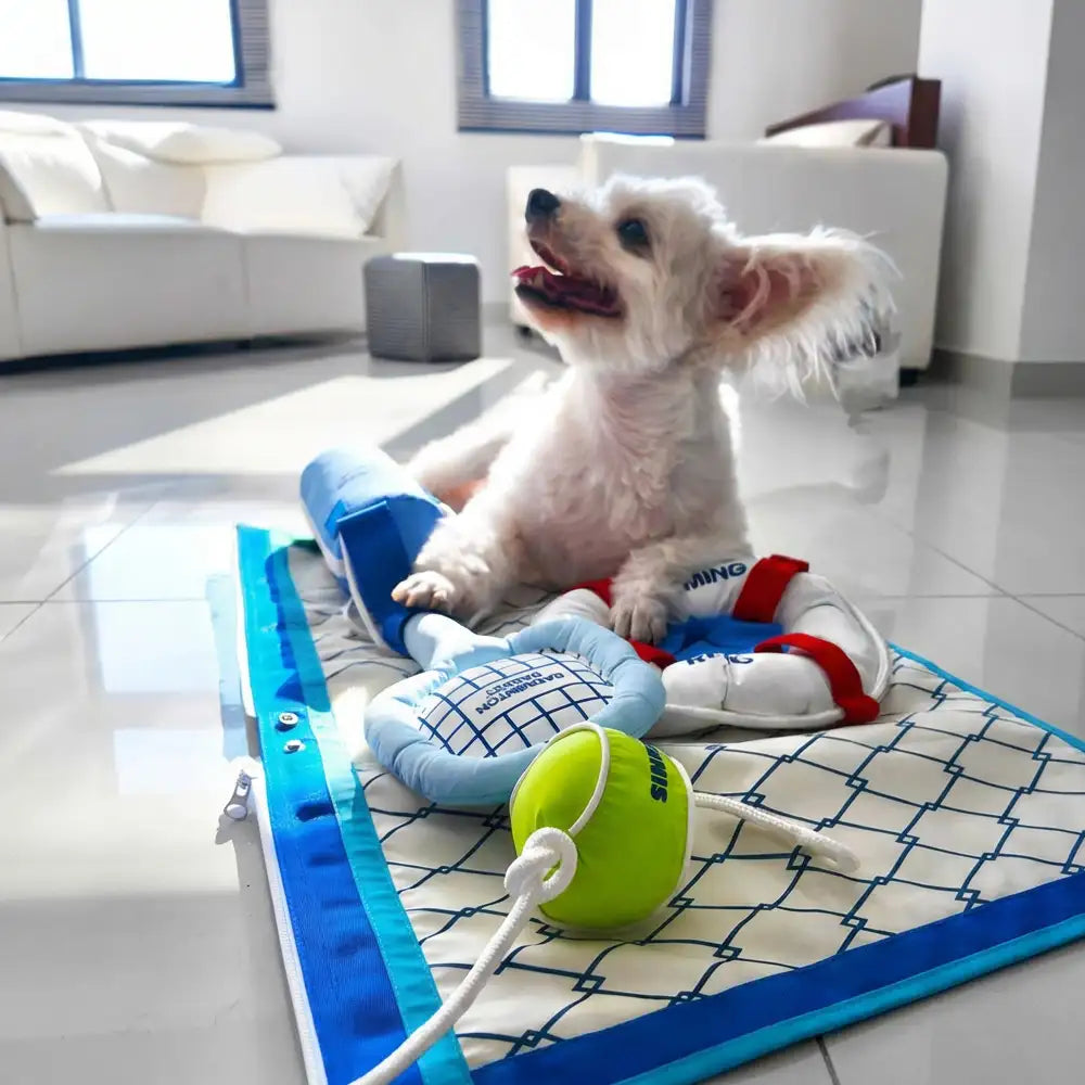 Beach Fun Series Ball Interactive Dog Toys