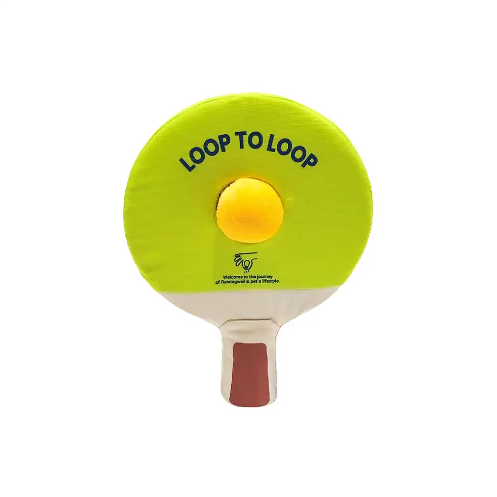 Beach Fun Series Ball Interactive Dog Toys