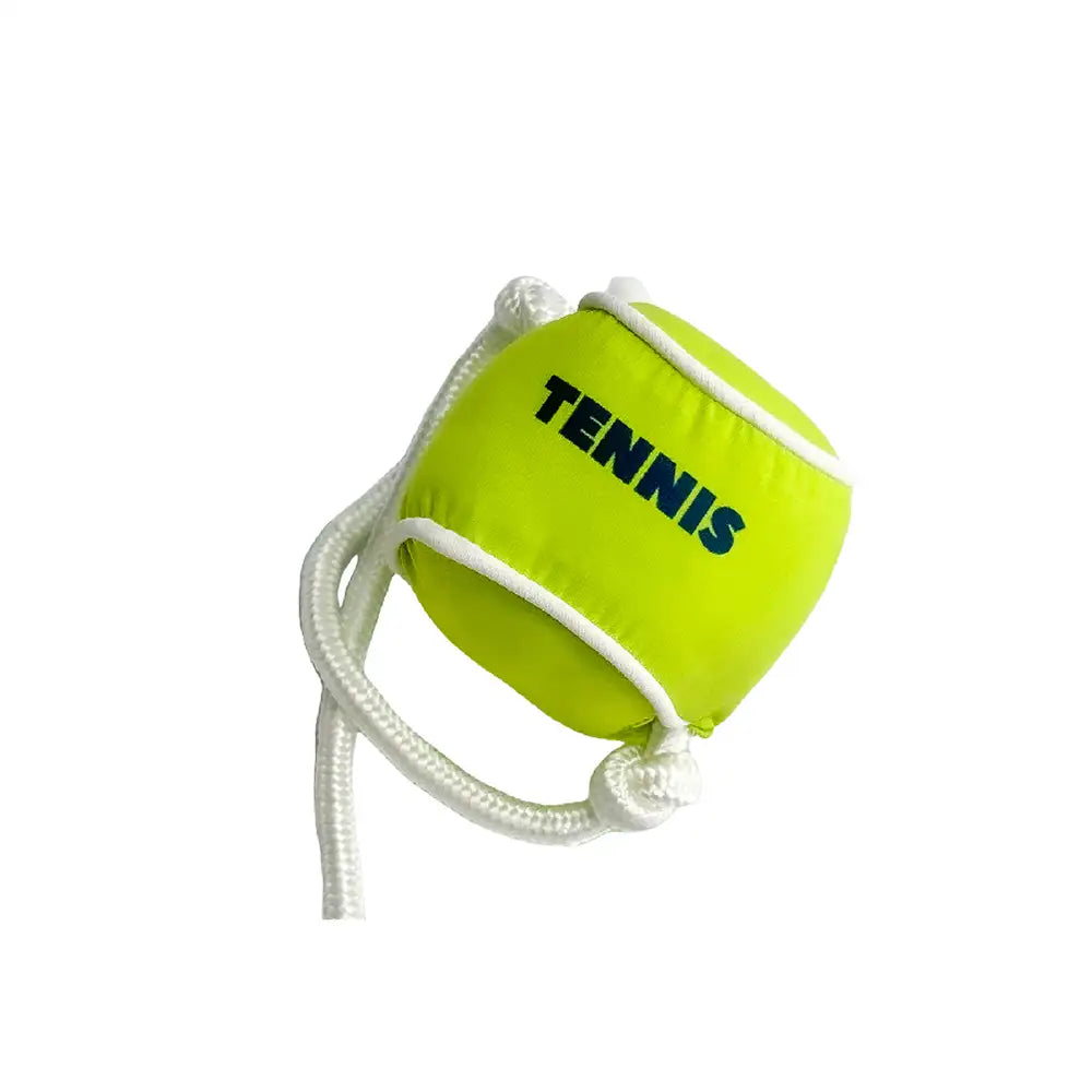 Beach Fun Series Ball Interactive Dog Toys