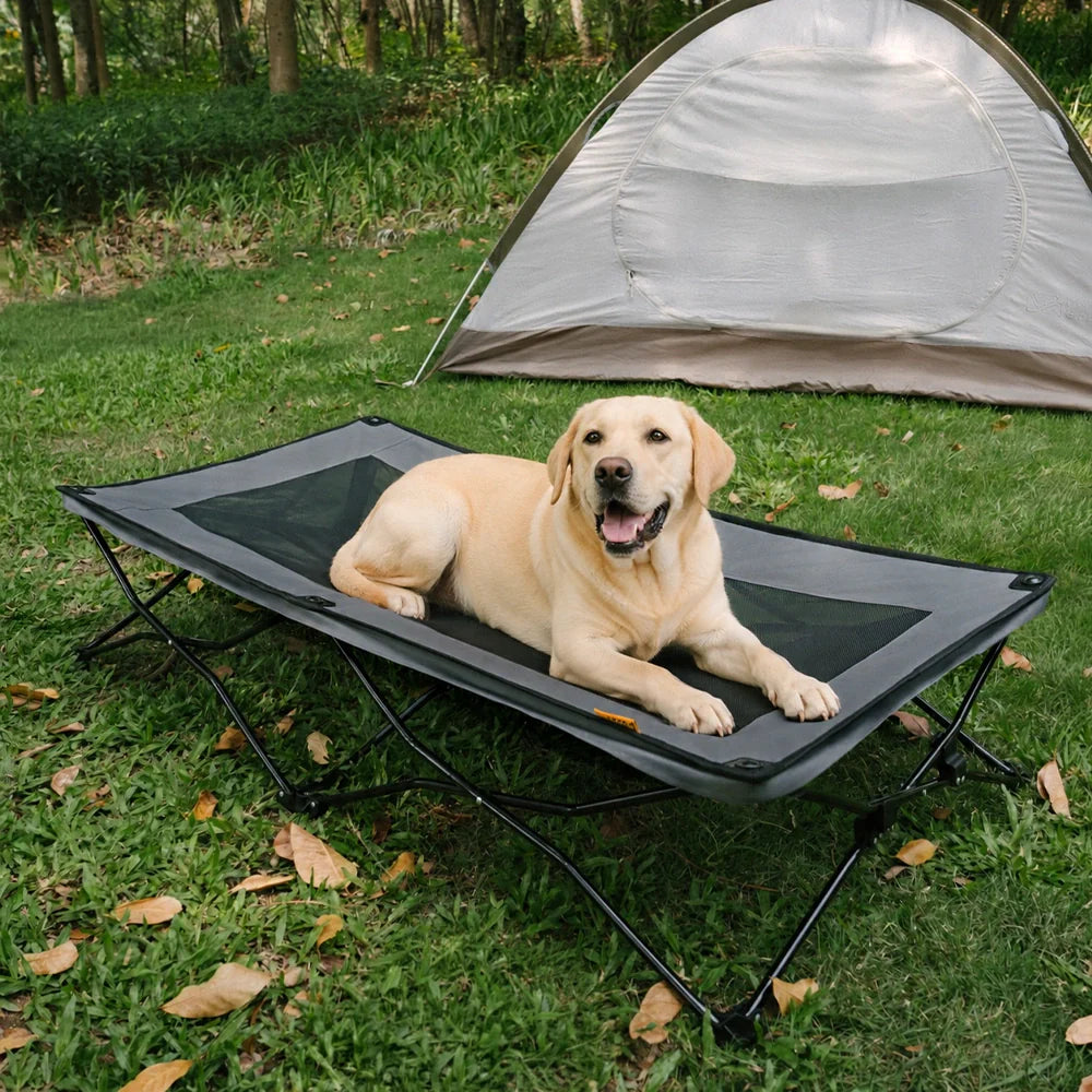 Faltbares erhöhtes Hundebett, tragbares Kühl-Hundebett fürs Camping – Urban Roaming