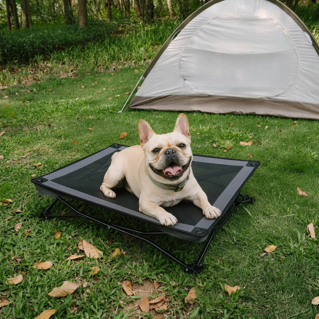 Faltbares erhöhtes Hundebett, tragbares Kühl-Hundebett fürs Camping – Urban Roaming