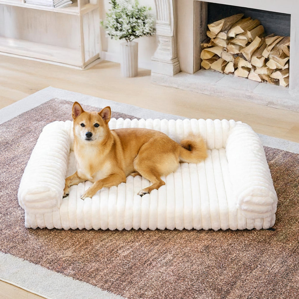 Cremefarbenes flauschiges, komfortables orthopädisches Hunde- und Katzensofabett
