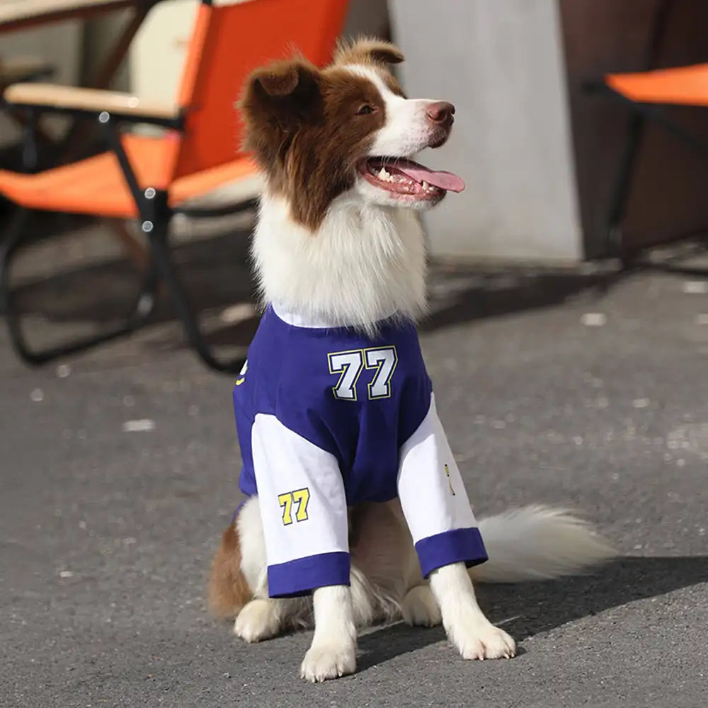 Rundhalsatmungsaktives waschbares Hundeshirt für alle Rassen