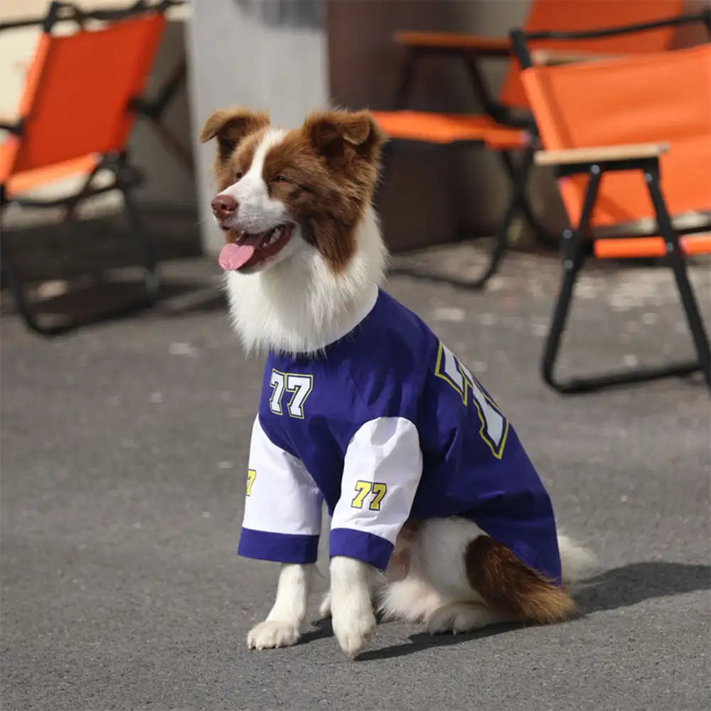 Rundhalsatmungsaktives waschbares Hundeshirt für alle Rassen