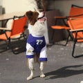Rundhalsatmungsaktives waschbares Hundeshirt für alle Rassen