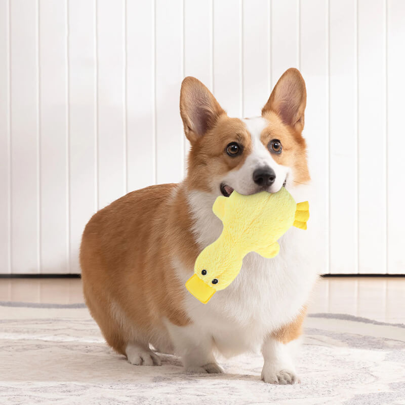 Cute Duck Plush Toy With Squeaker Dog Chew Toys