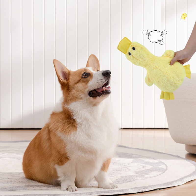 Cute Duck Plush Toy With Squeaker Dog Chew Toys