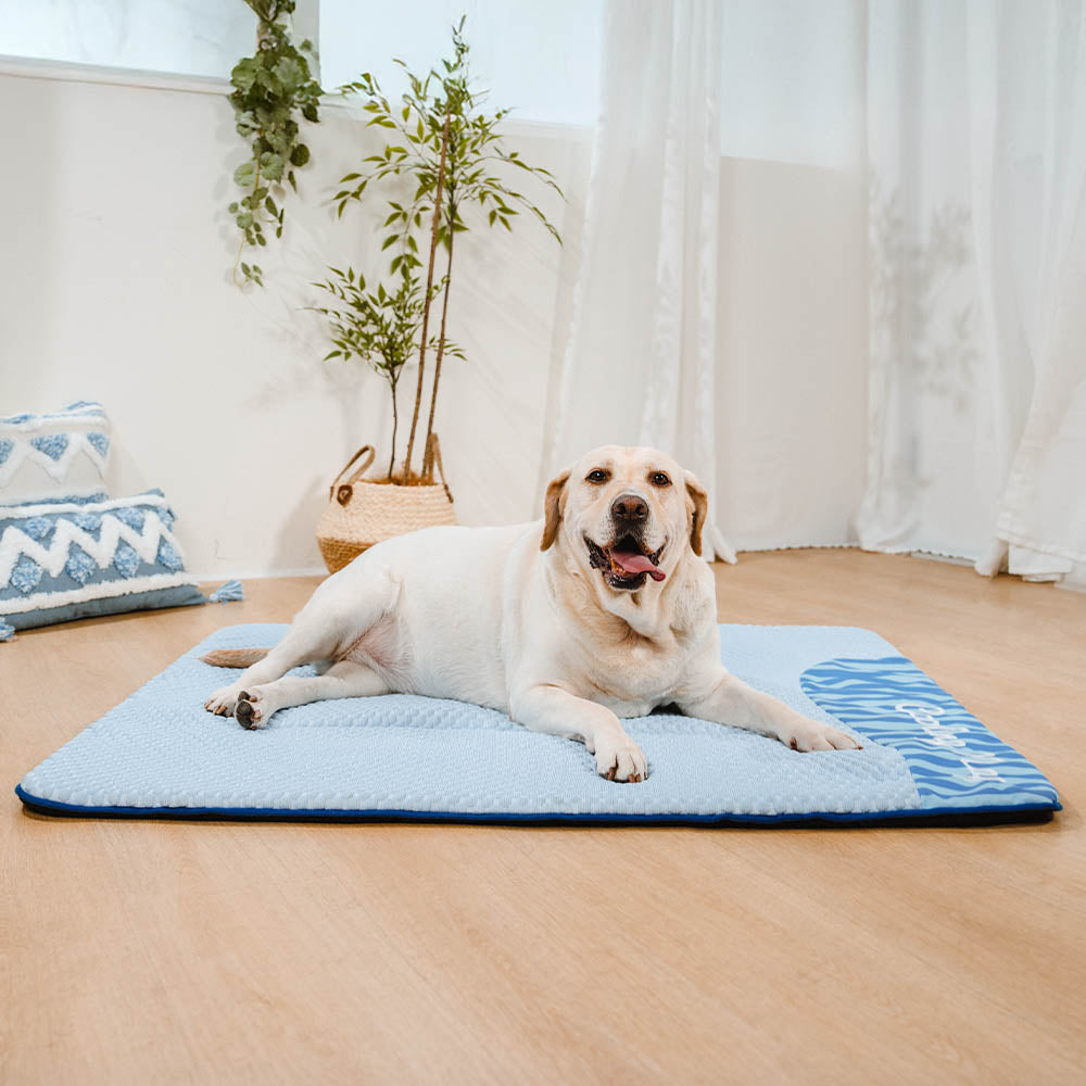 Große, waschbare, kühlende, rutschfeste Outdoor-Hundematte – Kühler Liegeplatz