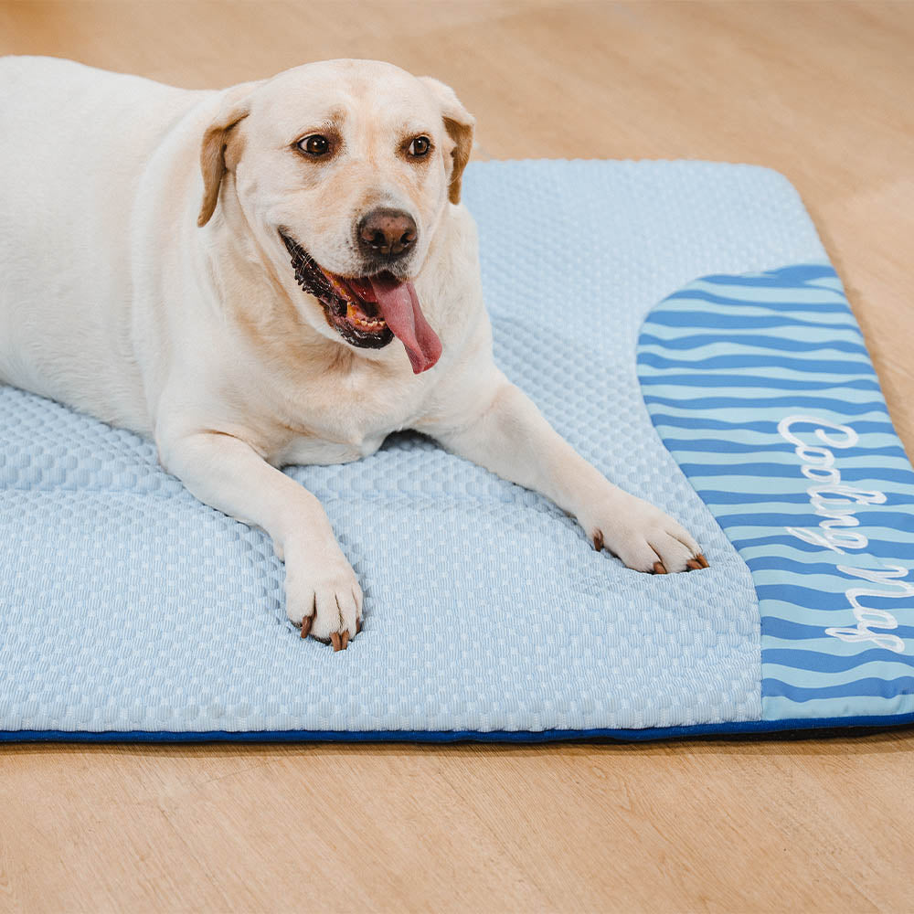Große, waschbare, kühlende, rutschfeste Outdoor-Hundematte – Kühler Liegeplatz