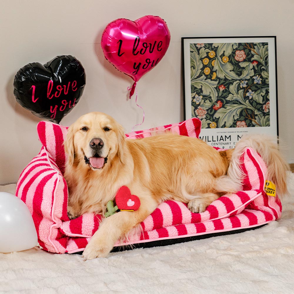 Valentinstags-Rosen-Plüsch-Quietschspielzeug für Hunde