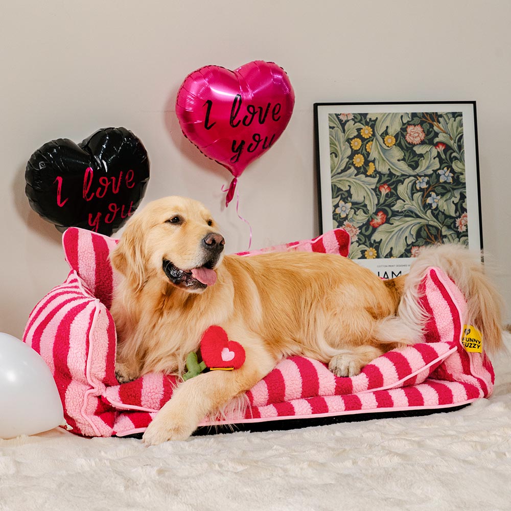 Valentine's Day Rose Plush Squeaky Dog Toy