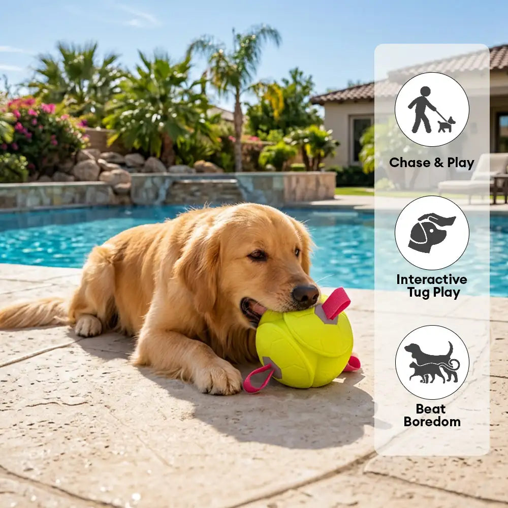 Schwimmendes Hundespielzeug Football mit Schlaufen