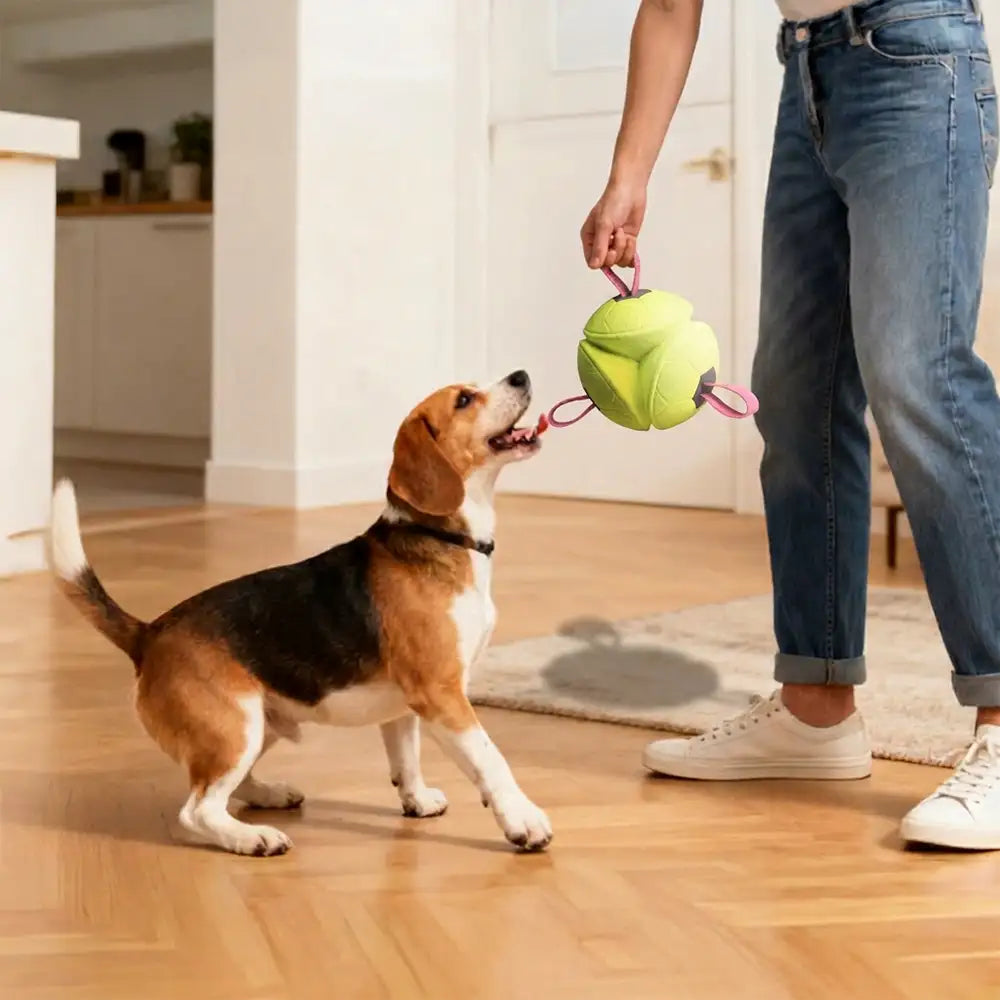 Schwimmendes Hundespielzeug Football mit Schlaufen
