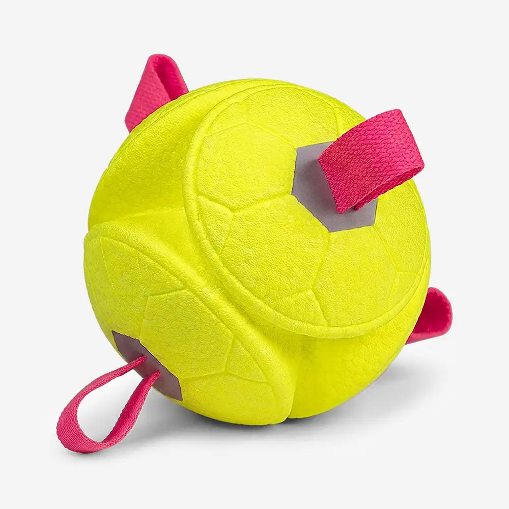 Schwimmendes Hundespielzeug Football mit Schlaufen