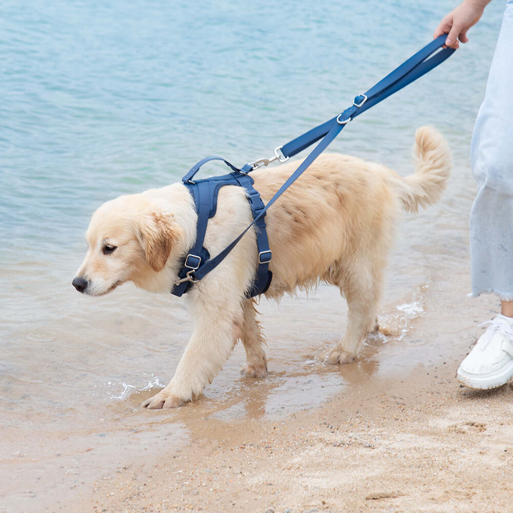 Gummy Walking Dog Harness